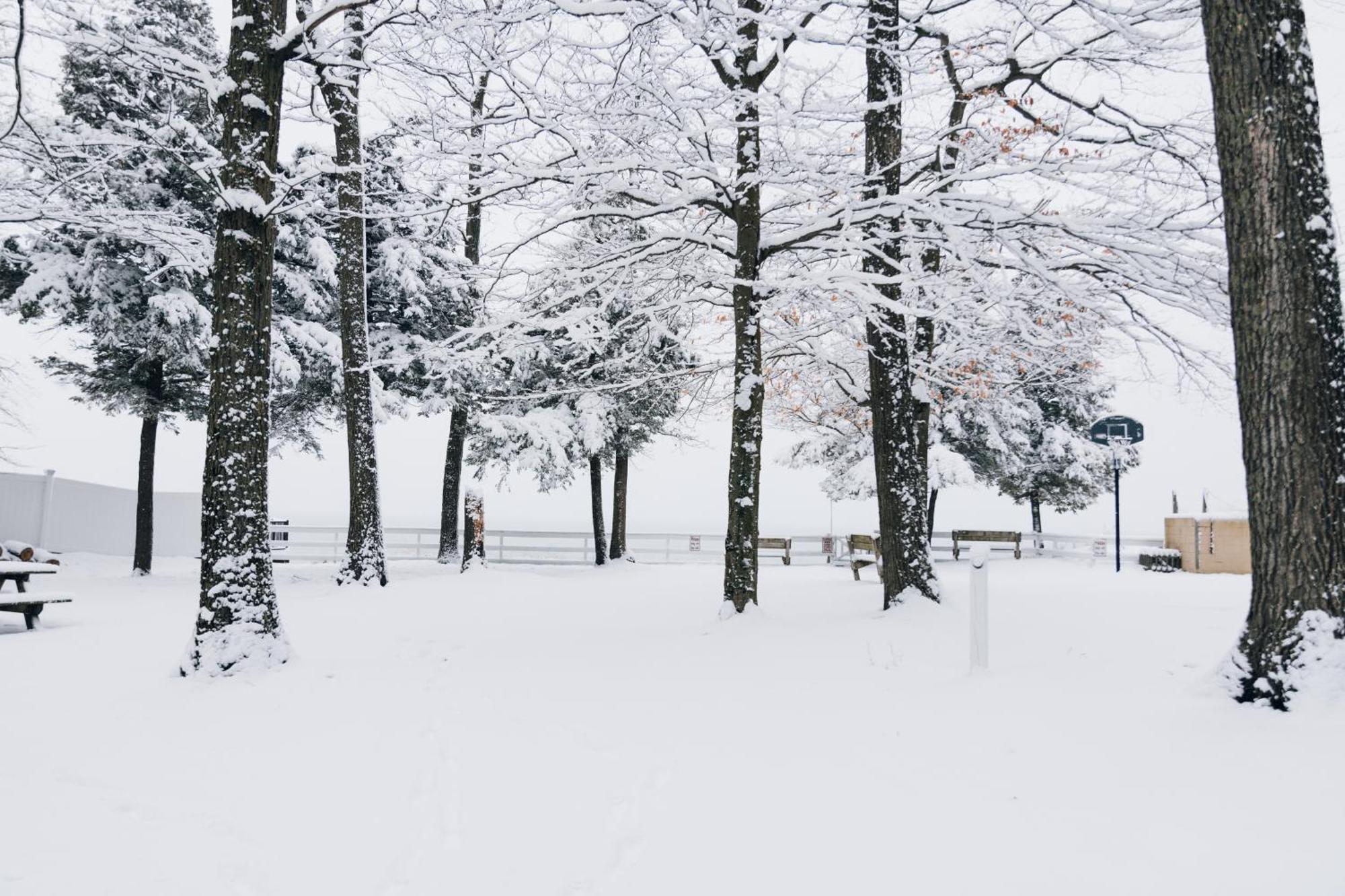 Scenic Drive Resort Маскигон Экстерьер фото